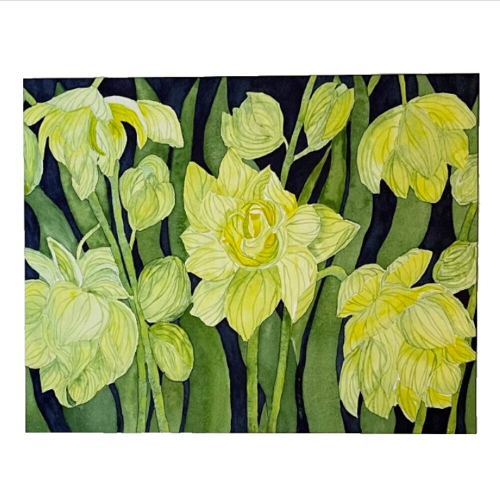 Watercolor Painting Original Art Jonquil Flowers Yellow Green 11x14 Mat 16x20